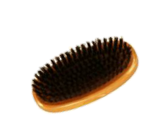 a bristle brush